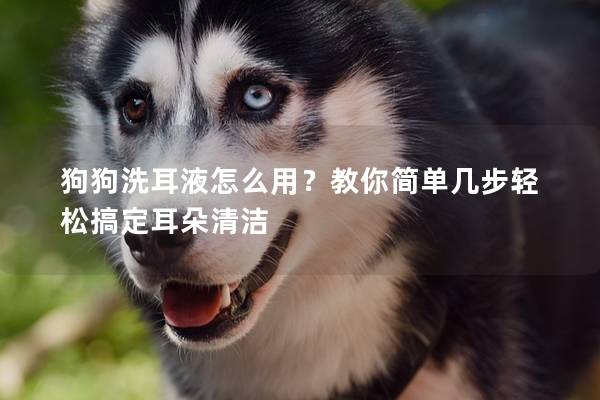 狗狗洗耳液怎么用?教你簡單幾步輕松搞定耳朵清潔 狗狗洗耳液怎么用?教你簡單幾步輕松搞定耳朵清潔