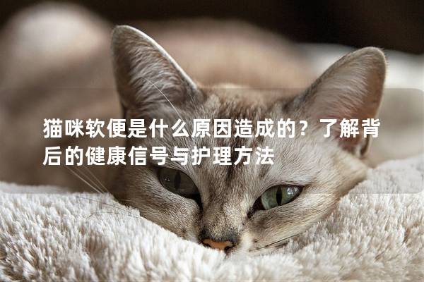 貓咪軟便是什么原因造成的？了解背后的健康信號與護理方法