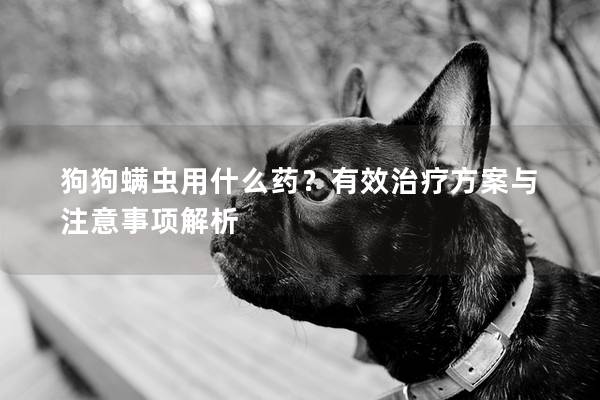 狗狗螨蟲用什么藥？有效治療方案與注意事項解析