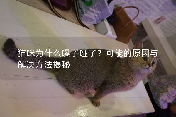貓咪為什么嗓子啞了？可能的原因與解決方法揭秘