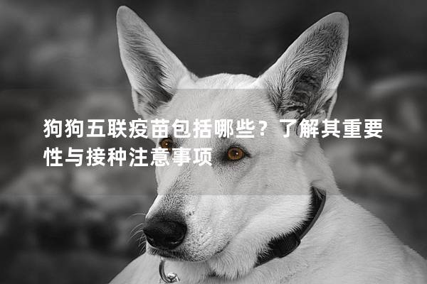 狗狗五聯(lián)疫苗包括哪些？了解其重要性與接種注意事項