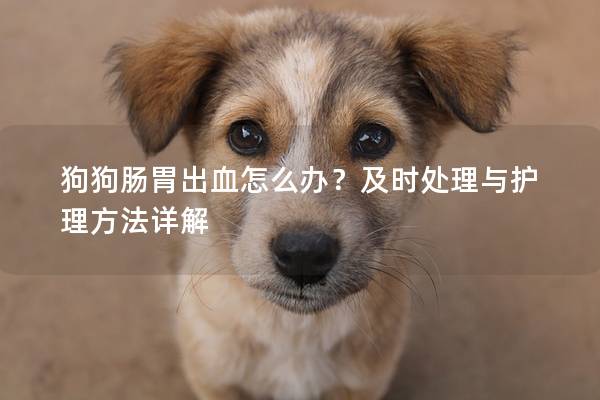 狗狗腸胃出血怎么辦？及時(shí)處理與護(hù)理方法詳解