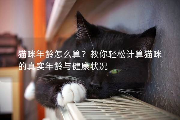 貓咪年齡怎么算？教你輕松計(jì)算貓咪的真實(shí)年齡與健康狀況