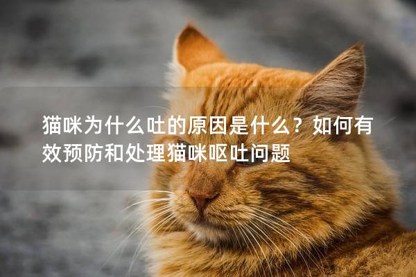 貓咪為什么吐的原因是什么？如何有效預防和處理貓咪嘔吐問題