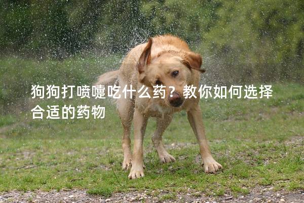 狗狗打噴嚏吃什么藥？教你如何選擇合適的藥物