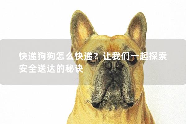 快遞狗狗怎么快遞？讓我們一起探索安全送達(dá)的秘訣