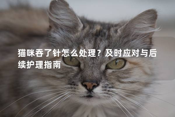 貓咪吞了針怎么處理？及時應對與后續護理指南