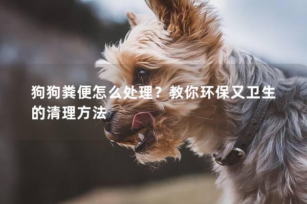 狗狗糞便怎么處理？教你環保又衛生的清理方法