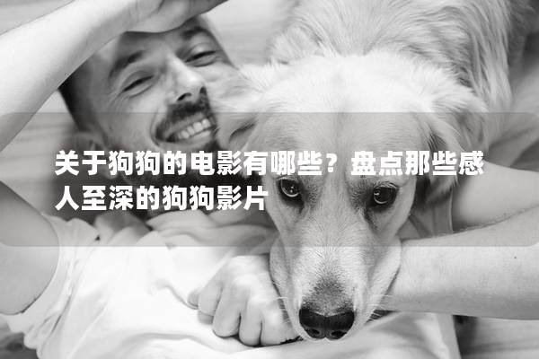 關(guān)于狗狗的電影有哪些？盤點(diǎn)那些感人至深的狗狗影片
