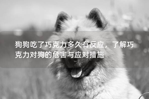 狗狗吃了巧克力多久有反應(yīng)，了解巧克力對狗的危害與應(yīng)對措施