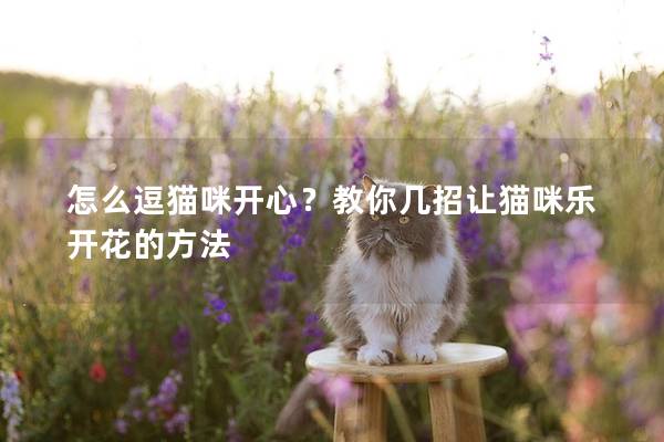 怎么逗貓咪開心？教你幾招讓貓咪樂開花的方法