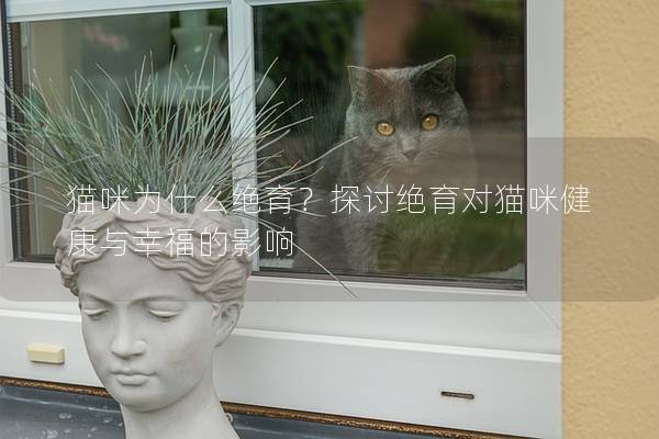 貓咪為什么絕育?探討絕育對貓咪健康與幸福的影響 貓咪為什么絕育?探討絕育對貓咪健康與幸福的影響