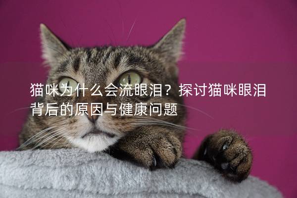 貓咪為什么會(huì)流眼淚？探討貓咪眼淚背后的原因與健康問題