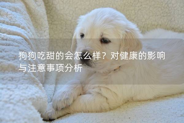 狗狗吃甜的會(huì)怎么樣？對(duì)健康的影響與注意事項(xiàng)分析