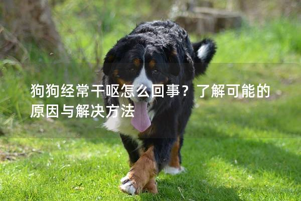 狗狗經(jīng)常干嘔怎么回事？了解可能的原因與解決方法