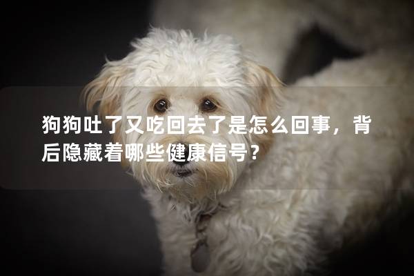 狗狗吐了又吃回去了是怎么回事，背后隱藏著哪些健康信號？