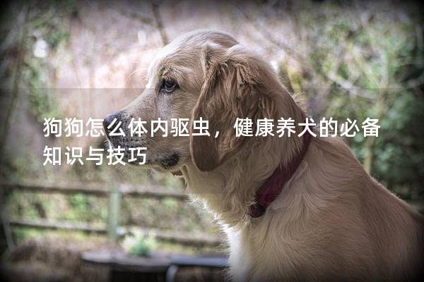 狗狗怎么體內(nèi)驅(qū)蟲(chóng)，健康養(yǎng)犬的必備知識(shí)與技巧