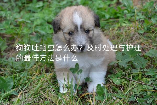 狗狗吐蛔蟲怎么辦？及時處理與護理的最佳方法是什么