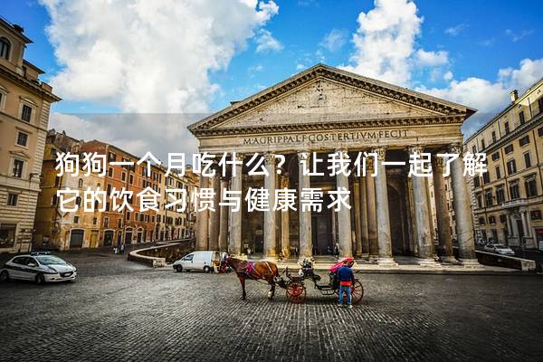 狗狗一個月吃什么？讓我們一起了解它的飲食習(xí)慣與健康需求
