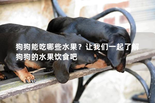 狗狗能吃哪些水果？讓我們一起了解狗狗的水果飲食吧