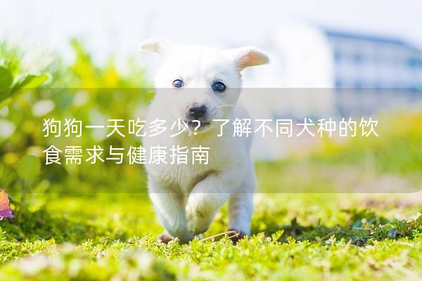 狗狗一天吃多少？了解不同犬種的飲食需求與健康指南