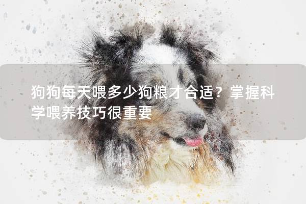 狗狗每天喂多少狗糧才合適？掌握科學喂養技巧很重要