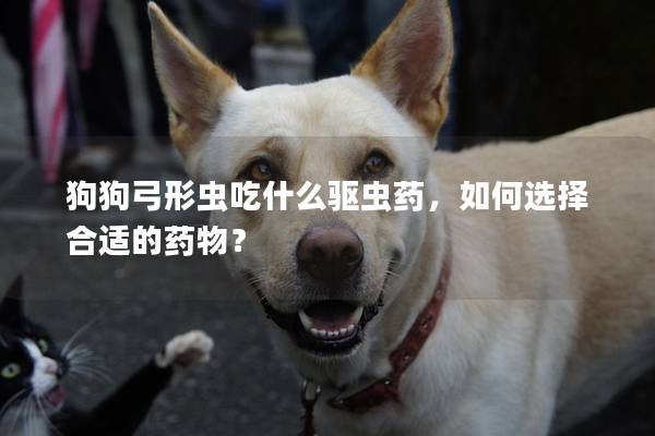 狗狗弓形蟲吃什么驅(qū)蟲藥，如何選擇合適的藥物？