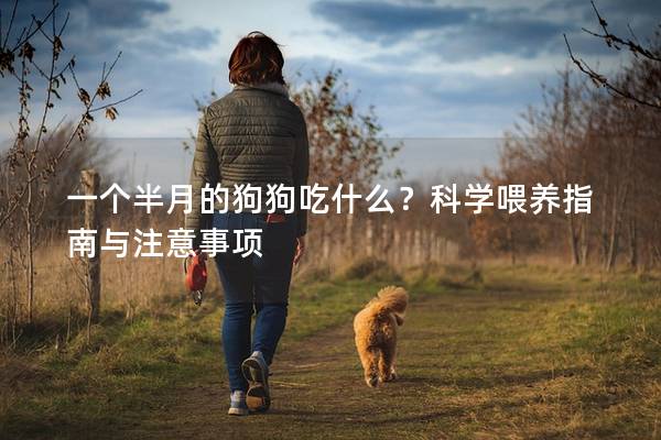 一個半月的狗狗吃什么？科學(xué)喂養(yǎng)指南與注意事項