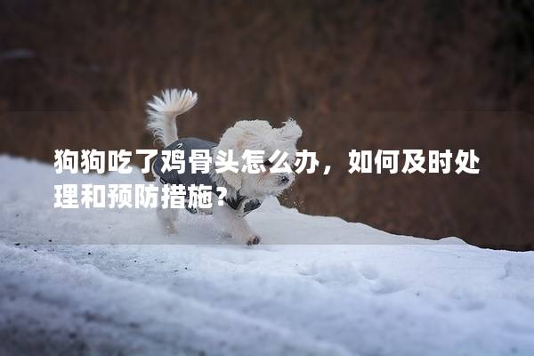 狗狗吃了雞骨頭怎么辦，如何及時處理和預防措施？
