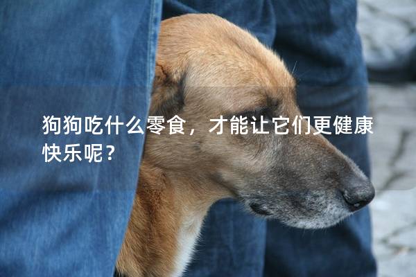 狗狗吃什么零食，才能讓它們更健康快樂呢？