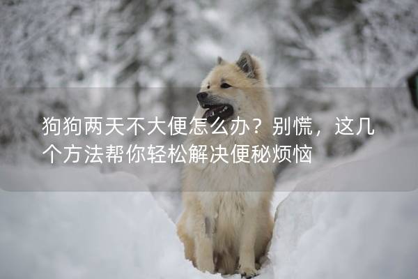 狗狗兩天不大便怎么辦？別慌，這幾個(gè)方法幫你輕松解決便秘?zé)? title=