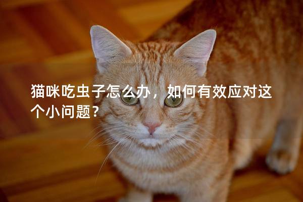 貓咪吃蟲子怎么辦，如何有效應對這個小問題？