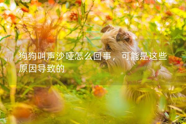 狗狗叫聲沙啞怎么回事，可能是這些原因?qū)е碌?></em><p>狗狗叫聲沙啞怎么回事，可能是這些原因?qū)е碌?/p><span>2025-03-27</span></a></li><li><a title=