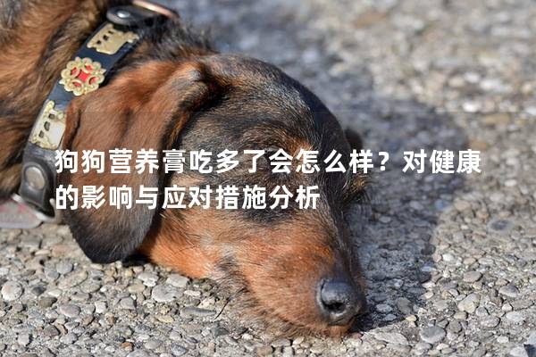 狗狗營養(yǎng)膏吃多了會怎么樣？對健康的影響與應(yīng)對措施分析
