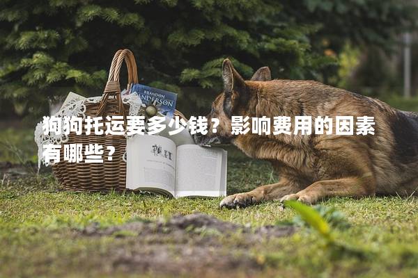 狗狗托運要多少錢?影響費用的因素有哪些? 狗狗托運要多少錢?影響費用的因素有哪些?