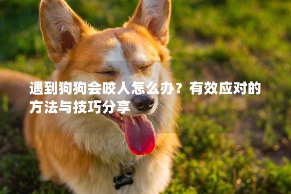 遇到狗狗會咬人怎么辦？有效應對的方法與技巧分享
