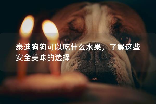 泰迪狗狗可以吃什么水果，了解這些安全美味的選擇