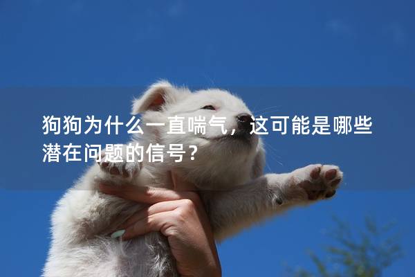 狗狗為什么一直喘氣，這可能是哪些潛在問題的信號(hào)？