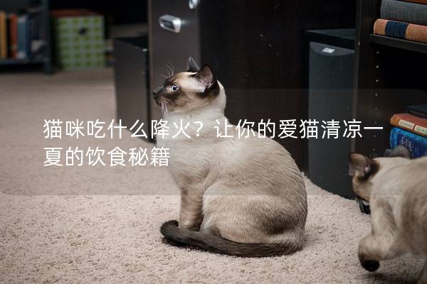 貓咪吃什么降火？讓你的愛貓清涼一夏的飲食秘籍