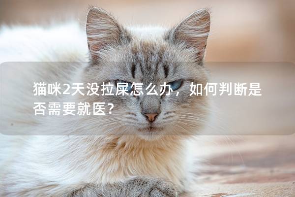 貓咪2天沒拉屎怎么辦，如何判斷是否需要就醫(yī)？