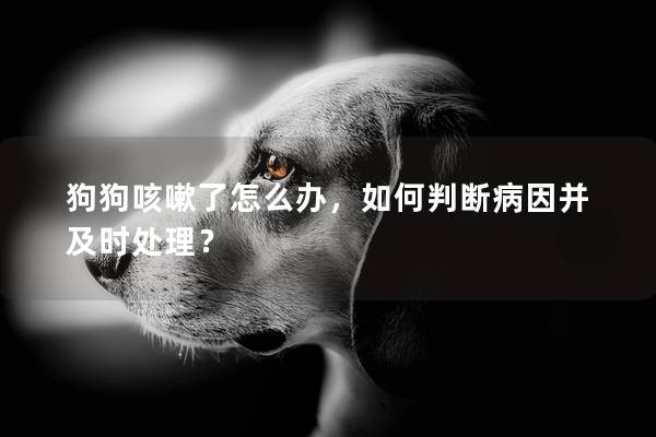 狗狗咳嗽了怎么辦，如何判斷病因并及時處理？