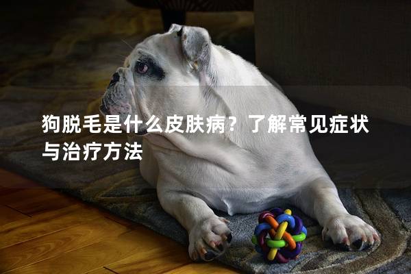 狗脫毛是什么皮膚病？了解常見(jiàn)癥狀與治療方法