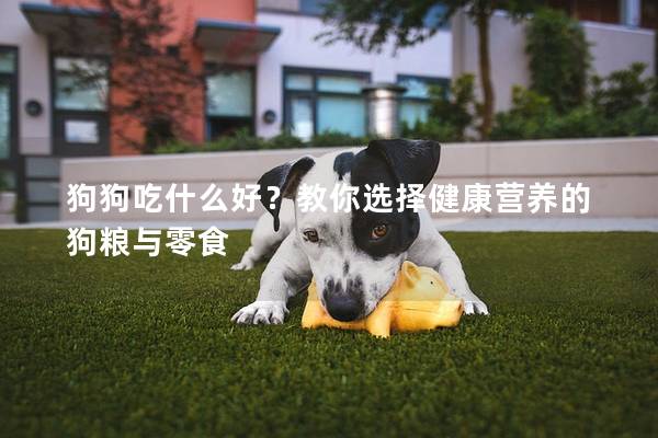 狗狗吃什么好？教你選擇健康營養的狗糧與零食