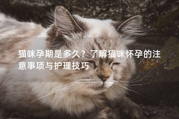 貓咪孕期是多久？了解貓咪懷孕的注意事項與護理技巧