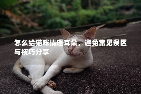 怎么給貓咪清理耳朵，避免常見誤區與技巧分享