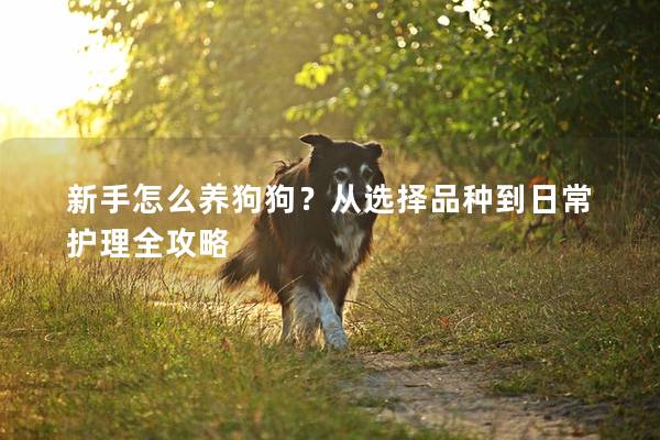 新手怎么養(yǎng)狗狗？從選擇品種到日常護(hù)理全攻略