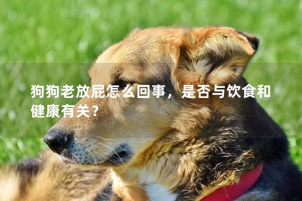 狗狗老放屁怎么回事，是否與飲食和健康有關？