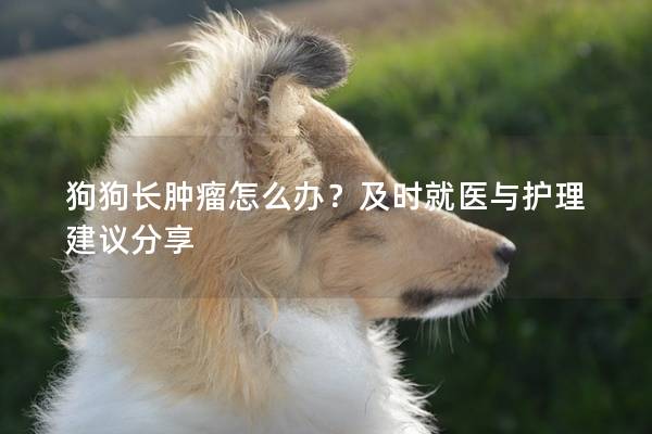 狗狗長腫瘤怎么辦？及時就醫(yī)與護(hù)理建議分享