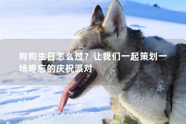 狗狗生日怎么過？讓我們一起策劃一場難忘的慶祝派對