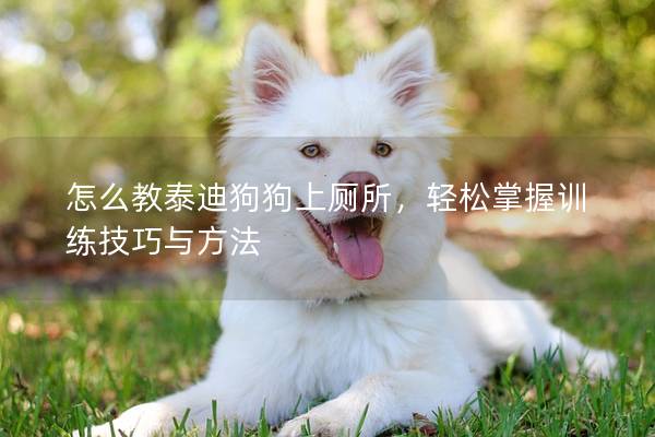 怎么教泰迪狗狗上廁所，輕松掌握訓練技巧與方法